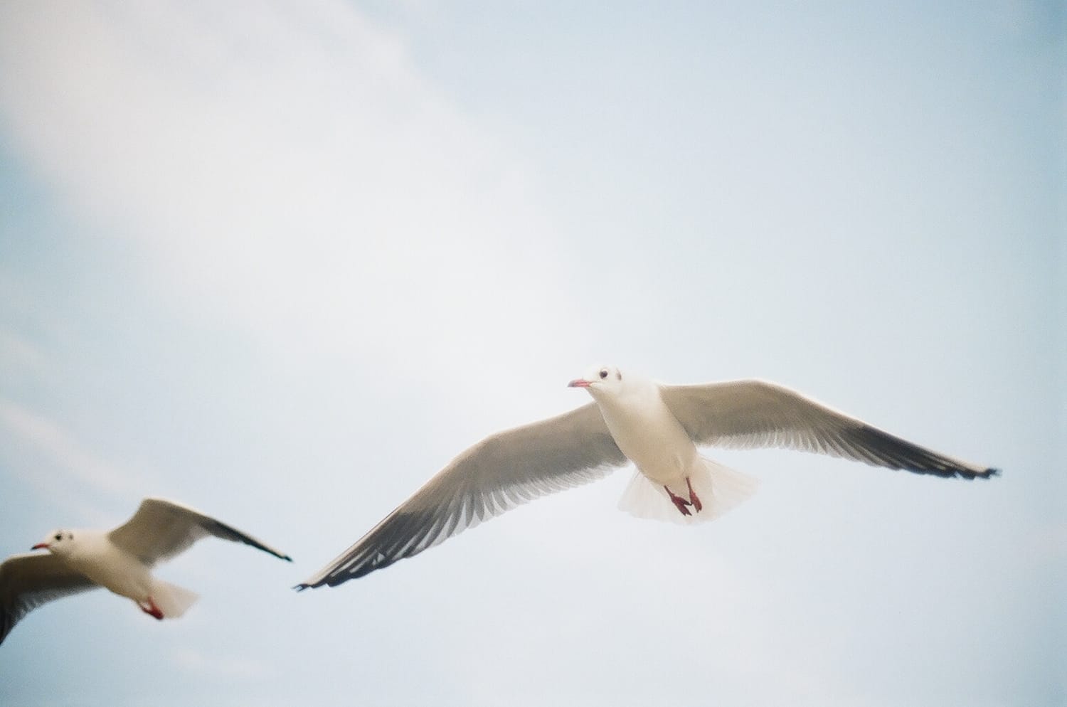 ワークライフバランスと権利義務バランスについて