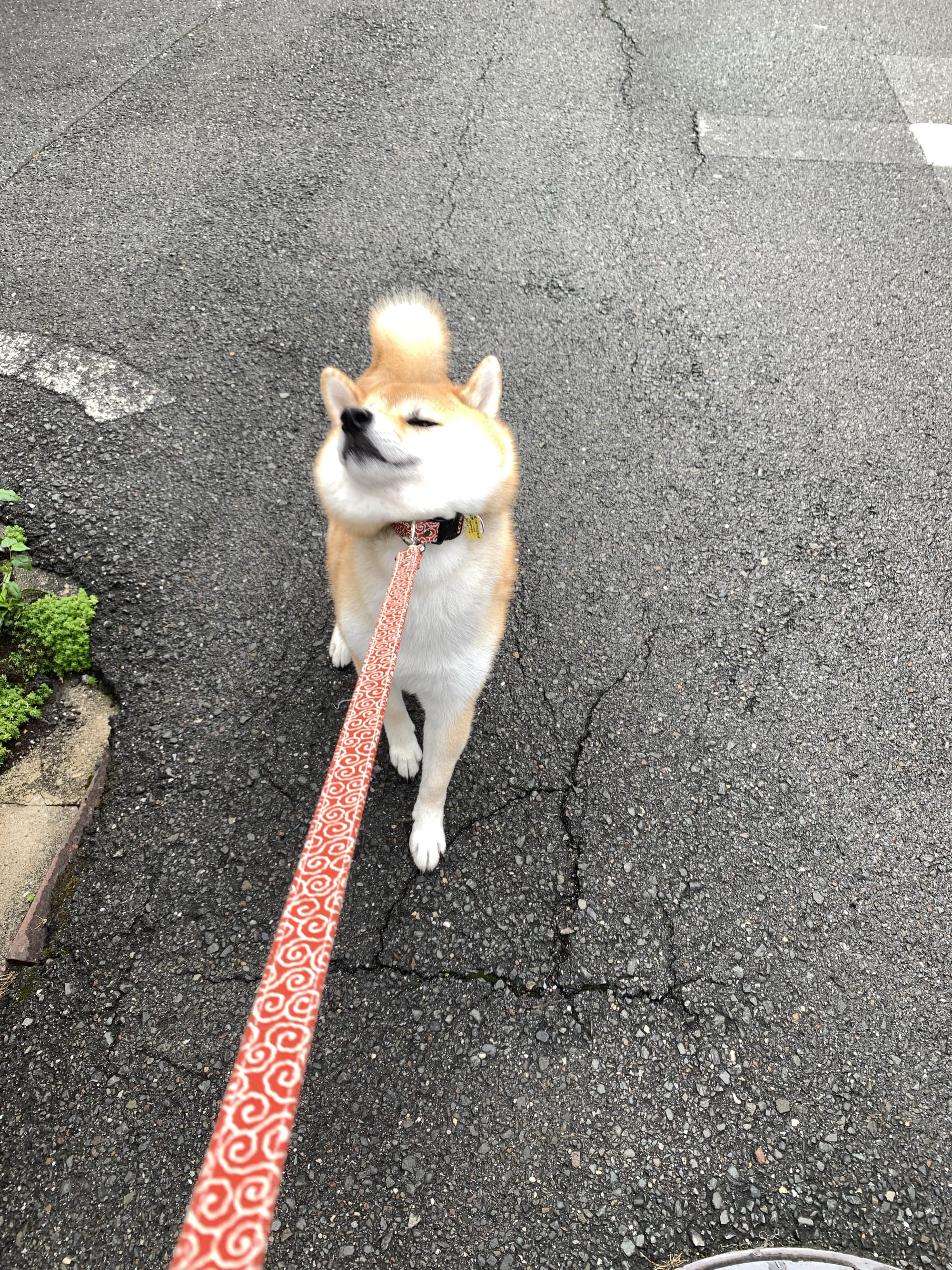 [お知らせ]INST Messengerのオプトアウト機能をリリース