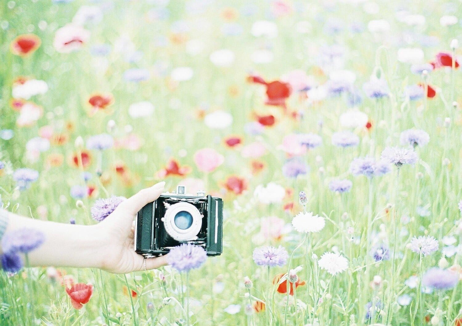 第8期をパリッとした期にするための抱負的なブログ