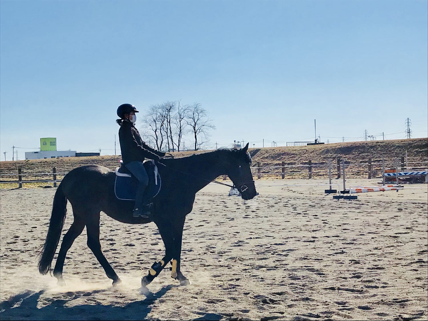 負け馬の背から降りるな