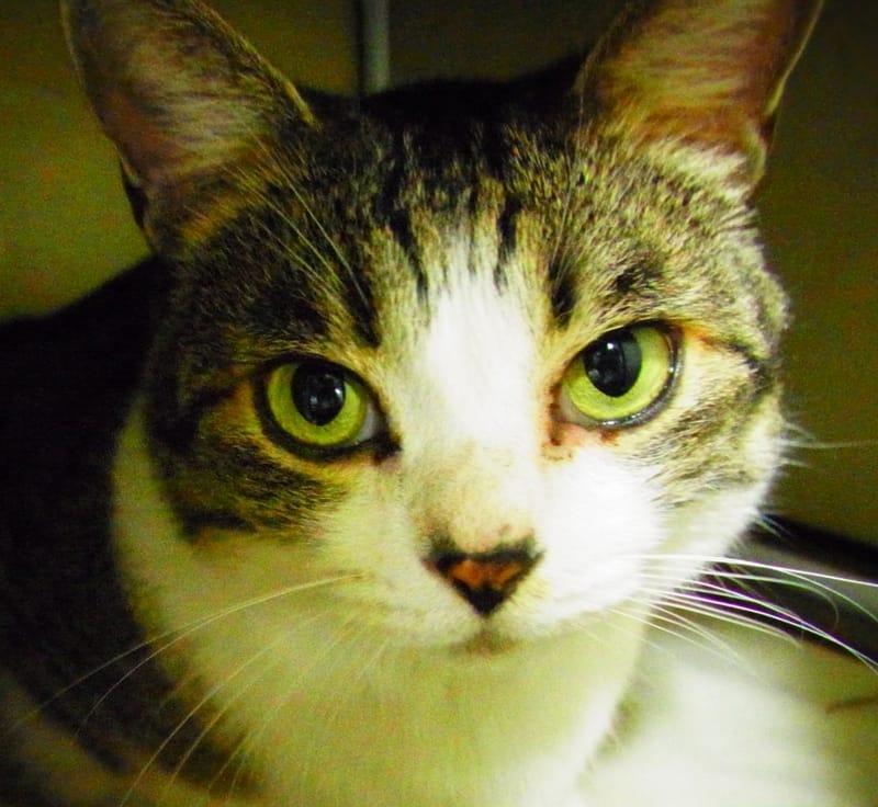 連絡が取れない人に見切りをつけるタイミングについて