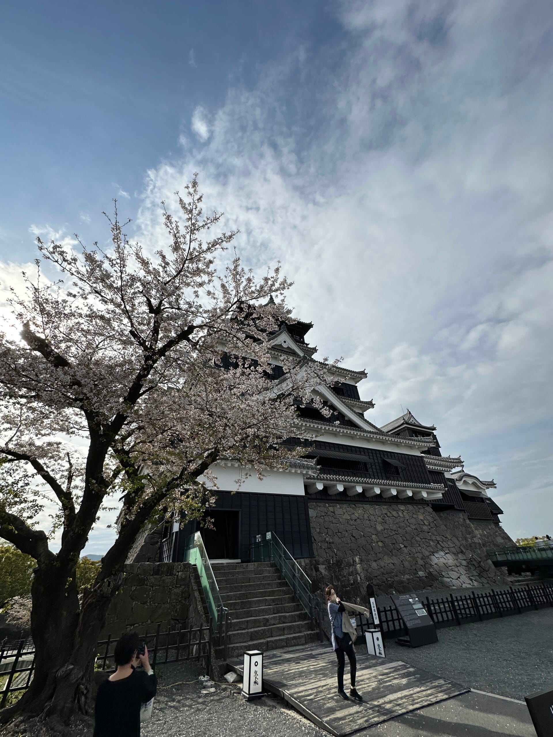 新卒採用をする会社は本当に凄いと思うのでガチで褒めます