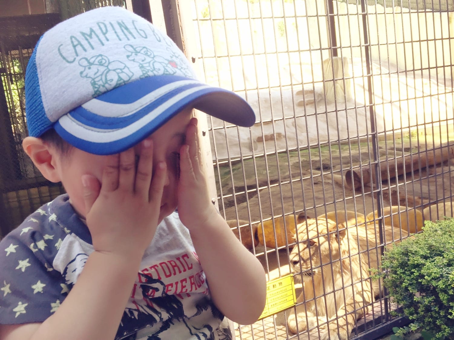 情報を「捨てる力」が必要になってきそうという話