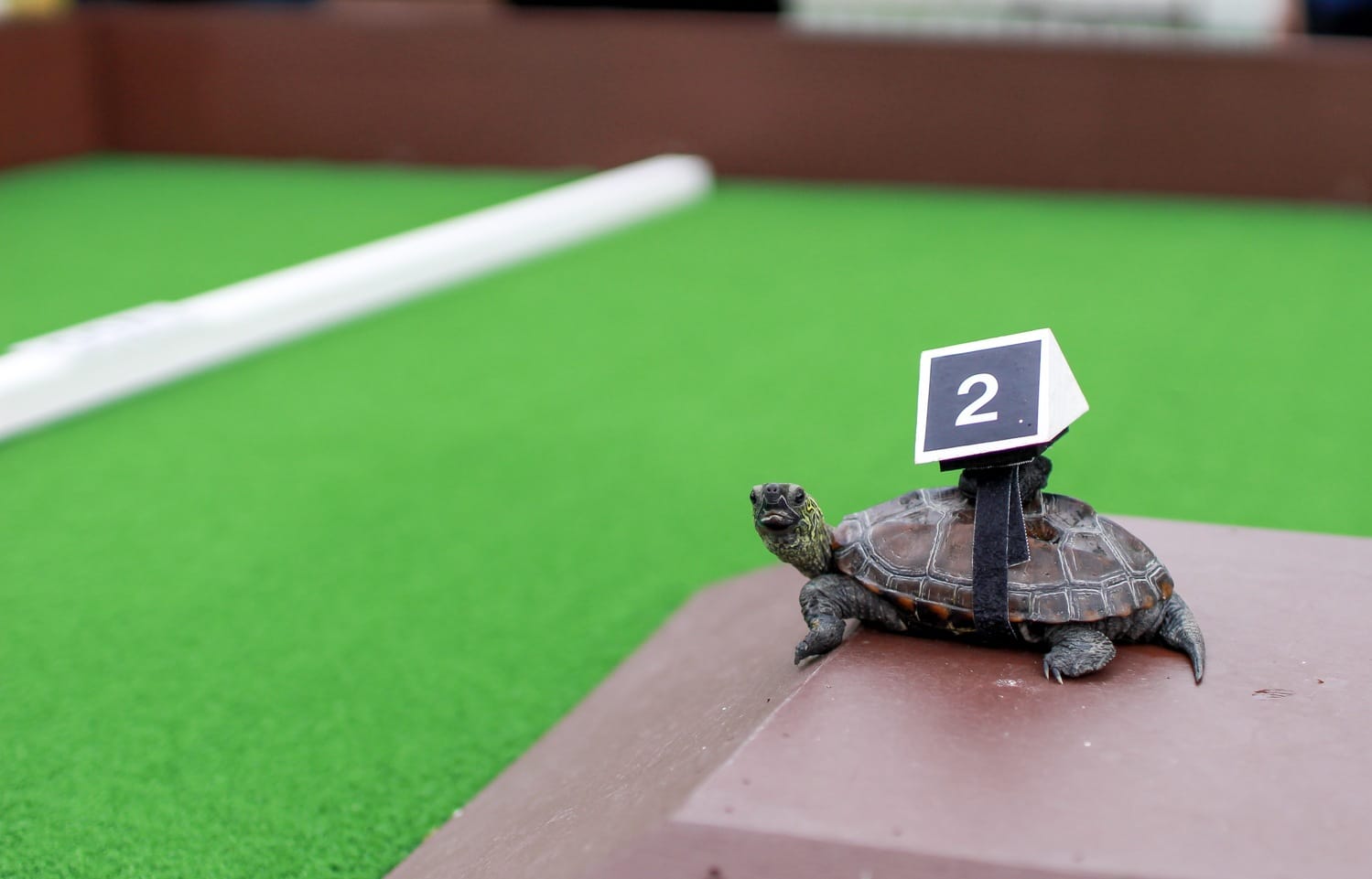 「すぐ転職しない」人の増加について