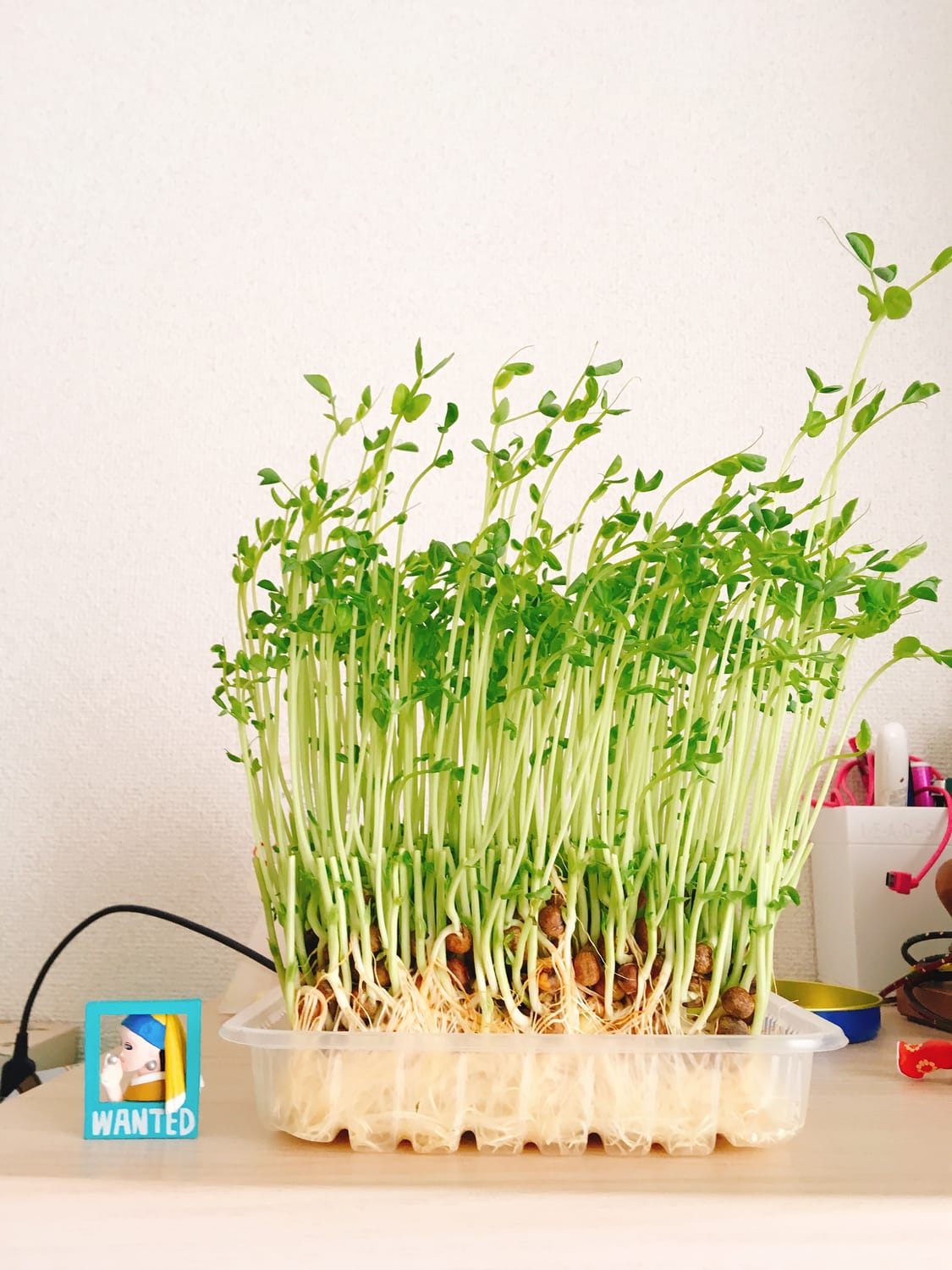 物価高→「節約」の思考回路、ってやめたほうが良くない？