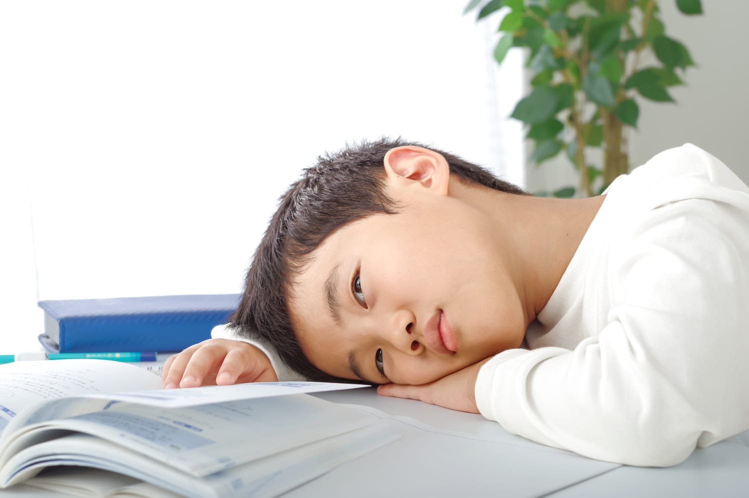 「静かな退職」と「マイルド経営」を対比して考えてみる