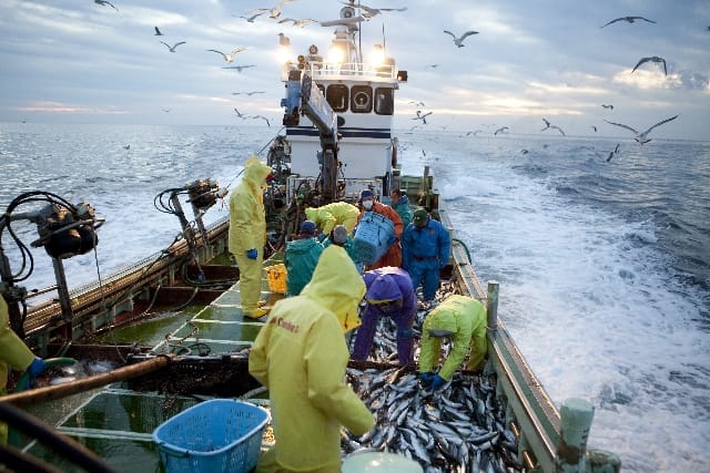ブルーオーシャンなんて存在しない